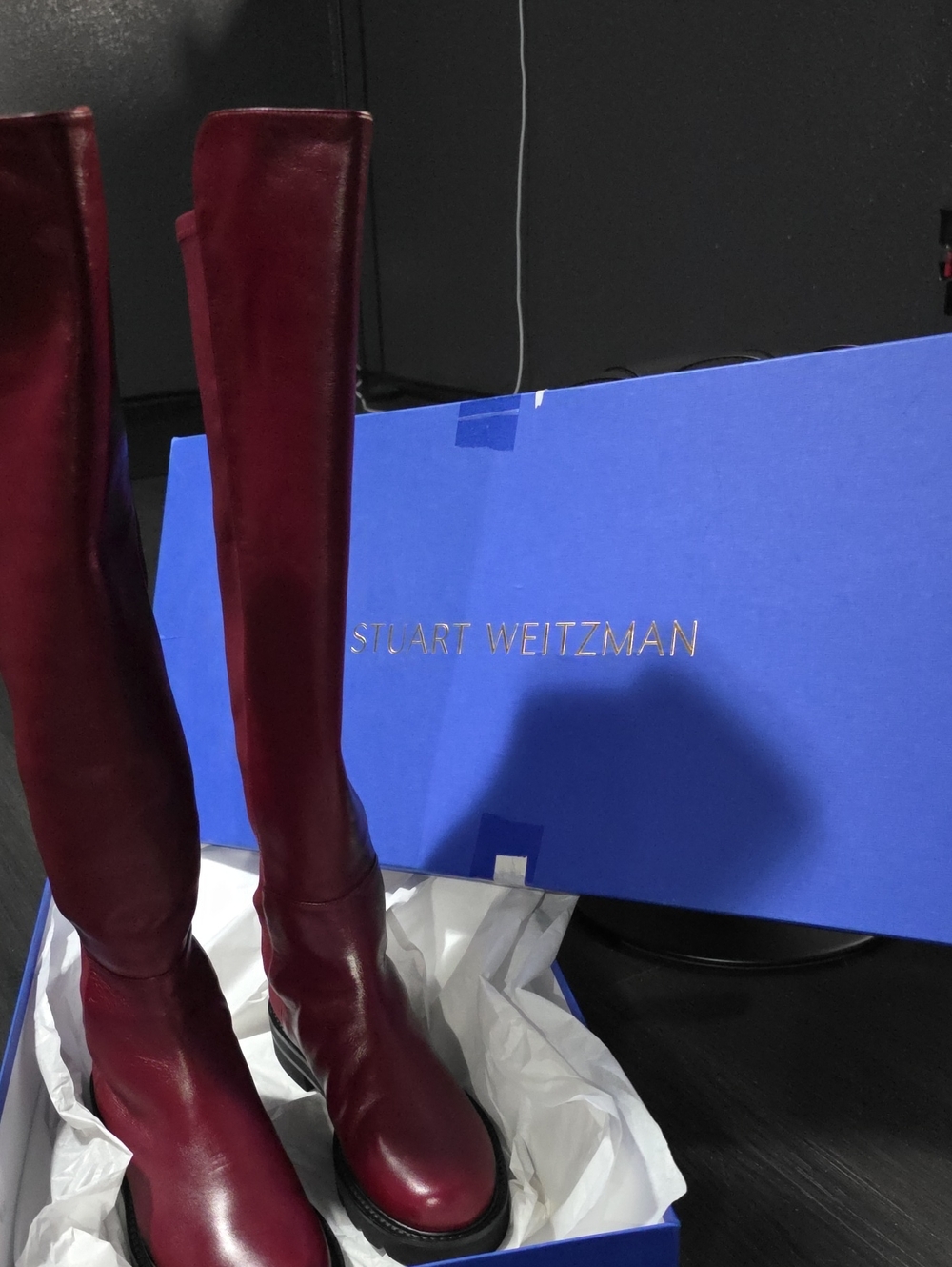 Stuart Weitzman Over-the-Knee Leather Boots in Cabernet